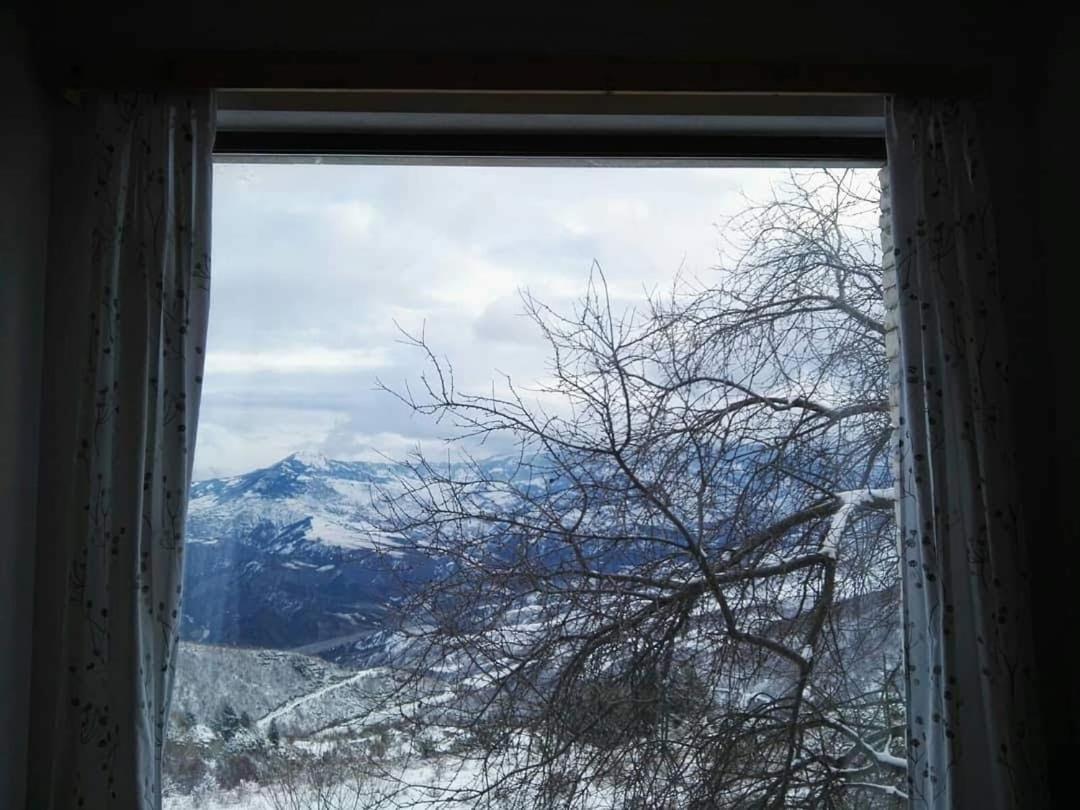 Bujtina E Tomorrit Hotel Ujanik Buitenkant foto