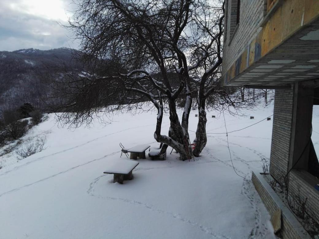 Bujtina E Tomorrit Hotel Ujanik Buitenkant foto